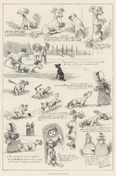 Die tragische Geschichte meines Lebens